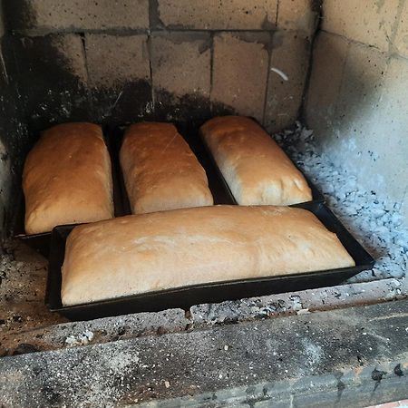 Casuta Bunicilor Villa Pucioasa Ngoại thất bức ảnh